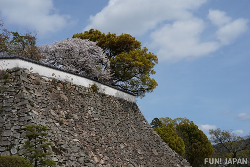 One of Japan's Best 100, Okayama Castle!
